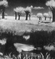 Edward Hartwig (1909 - 2003)