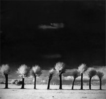 Edward Hartwig (1909 - 2003)