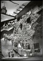 Edward Hartwig (1909 - 2003)