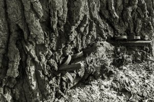 Kasia Rubiszewska - Historie potłuczone