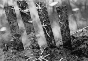 Igor Wócjik - z cyklu Mirrors of illusion