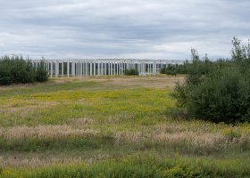 Jadwiga Janowska - Zielony uspokaja