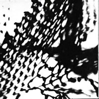 Jagoda Przybylak i członkowie RSF - Sto razy siatka