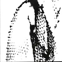 Jagoda Przybylak i członkowie RSF - Sto razy siatka