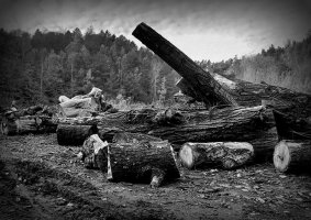 Anna Jakubowska - Tajemnicza Oliwa