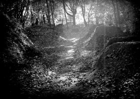 Anna Jakubowska - Tajemnicza Oliwa