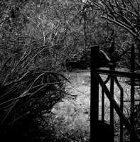 Anna Jakubowska - Tajemnicza Oliwa