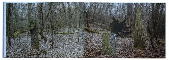 Janusz Nowacki - Lustra Pamięci