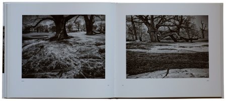 Janusz Nowacki - Pejzaże z drogi do ciszy