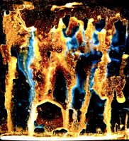 Józef Robakowski - Laboratorium, zapisy biologiczno-mechaniczne