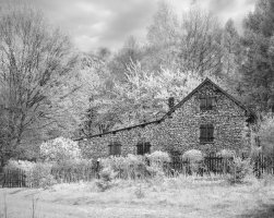 Janusz Wojcieszak - Znikające mury