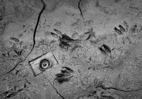 Kamil Myszkowski, Krzysztof Szlapa - Obrazy metafor II