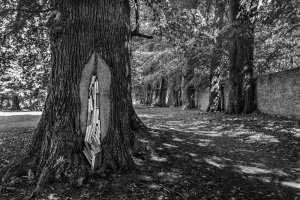 Kamil Myszkowski - Papierowe krajobrazy