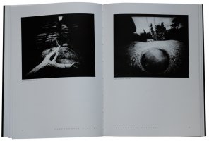 Biennale Fotografii Górskiej 1980-2008. Karkonosze. Wybór