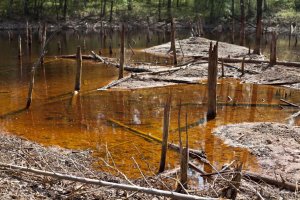 Katarzyna Świętochowska z cyklu - Dawna Kopalnia Babina w Łęknicy - 2019 r.