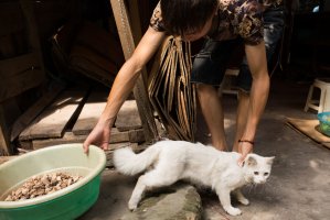 Katarzyna Urbanek - Ulice Hanoi