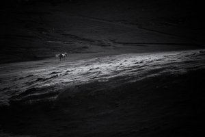 Katarzyna Warańska - Poezja przestrzeni