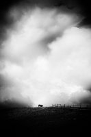 Katarzyna Warańska - Poezja przestrzeni