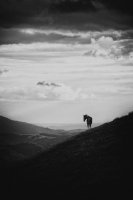 Katarzyna Warańska - Poezja przestrzeni