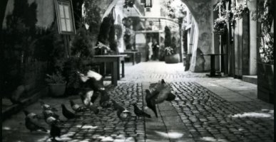 Bogdan Frymorgen - Kazimierz bez słów