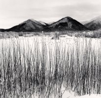 Michael Kenna