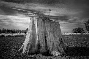 Kinga Hendzel - Niedozobaczenia