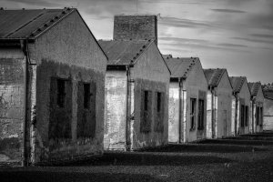 Kinga Hendzel - Niedozobaczenia