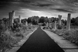 Kinga Hendzel - Niedozobaczenia