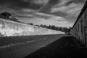 Kinga Hendzel - Niedozobaczenia