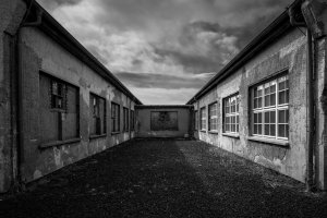 Kinga Hendzel - Niedozobaczenia