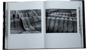 Kielecka Szkoła Krajobrazu