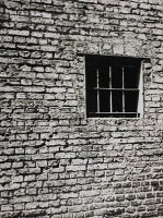 Jerzy Kosiński (1933-1991)