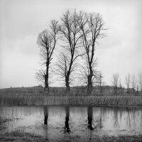 Wojtek Moskwa - KRAINA. Opowieść o wąskim torze