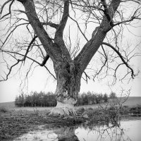 Wojtek Moskwa - KRAINA. Opowieść o wąskim torze