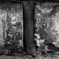 Krzysztof Szlapa - Scenografie