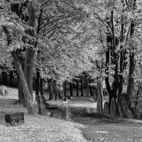 fot. Krzysztof Strzoda