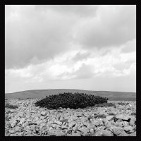 Janina Hobgarska - Miejsca nie są nieruchome 2