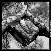 Przestrzeń - interpretacje 2020