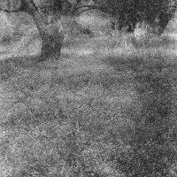 Marcin Kuran - Terra Innominata