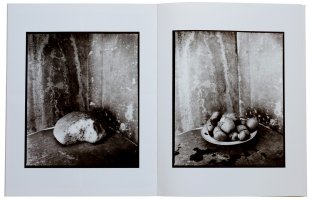 Wojciech Prażmowski - L'ange brisé