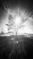 Leszek Wyrzykowski - Fotografia Otworkowa