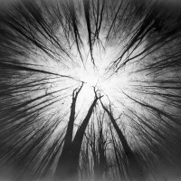 Leszek Wyrzykowski - Fotografia Otworkowa
