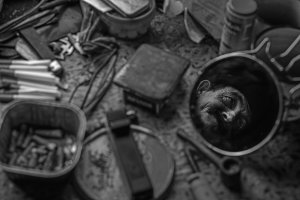 Paweł Malarczyk - Ludzie dymu