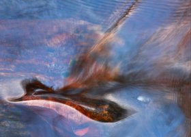 Halina Krawczyk, Jan Pawelski - Magia wody