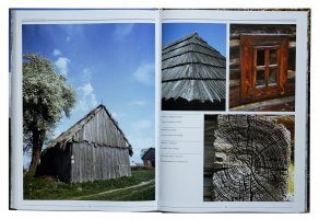 Magia świętokrzyskiego drzewa