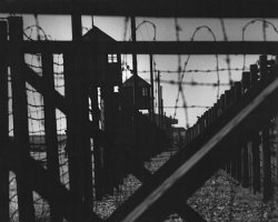 Majdanek w fotografii Edwarda Hartwiga