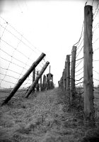 Majdanek w fotografii Edwarda Hartwiga