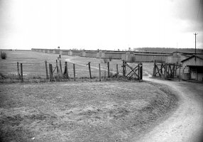 Majdanek w fotografii Edwarda Hartwiga