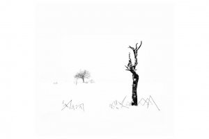 Bieszczady - Nasiczne magiczne