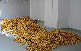 Marcin Berdyszak - Praktyki codzienne w czasach konsumpcji